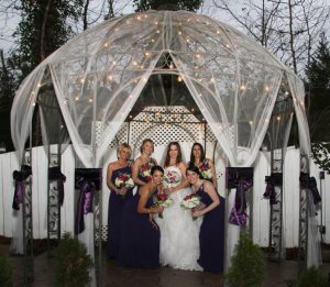 wedding bridal party at gala events facility